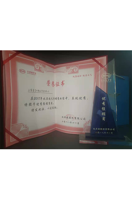 丽水市比亚迪2018优秀经销商