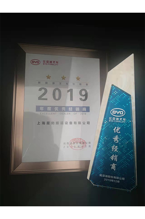 丽水市比亚迪2019优秀经销商