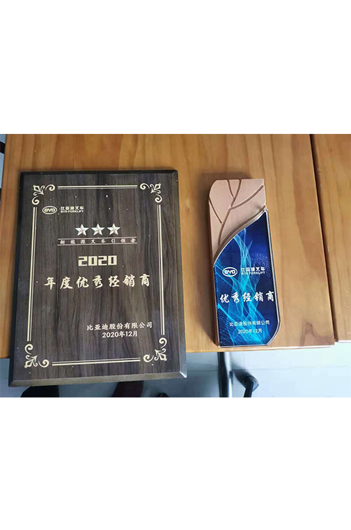 丽水市比亚迪2020优秀经销商
